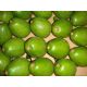 AGUACTES